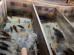 -缘福乡村铁锅炖民宿(八达岭店)