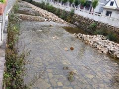-黑龙潭风景区