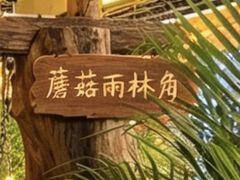 -西双版纳集贸市场