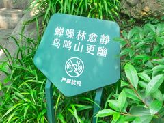 -北极阁公园