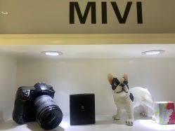 -MIVI·纹眉半永久野生眉