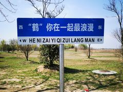 -盐城丹顶鹤湿地生态旅游区