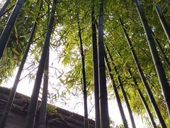 -文儒九号·闽菜馆(三坊七巷店)