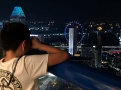 -新加坡瑞士史丹福酒店