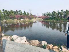 -春花秋色城市公园