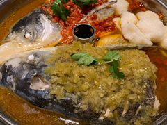 -望湘园·洞庭渔宴(永旺店)