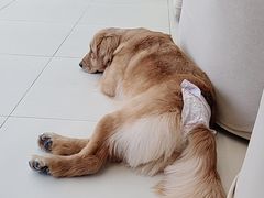 -怪兽屋·羊驼·猫咖·狗咖(俊华广场店)