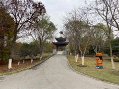 -梁鸿国家湿地公园