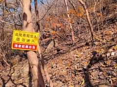 -白水寺森林公园