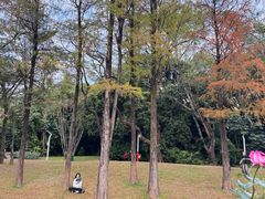 -人民公园(罗湖区)