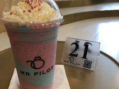 -飞行喵MR PILOT|猫舍·猫咖(静安大融城店)