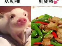 -味多美(望京店)