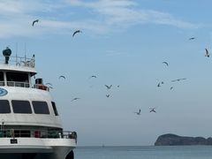 -海驴岛(荣成市)