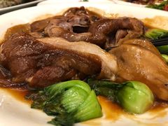 -上海雅居乐万豪侯爵酒店