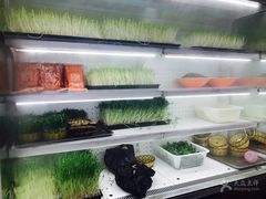 -大龙老火锅·总店(龙头寺店)