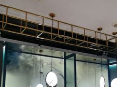 -老板恋上鱼(振华商厦店)