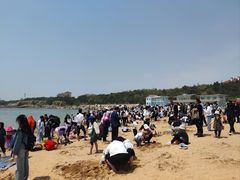 -青岛第二海水浴场