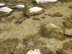 -秦岭峡谷漂流景区