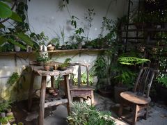 -植觉