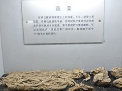 -水洞沟旅游区