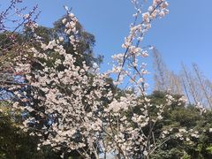 -无锡梅园公园
