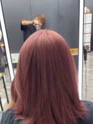 -藤野造型