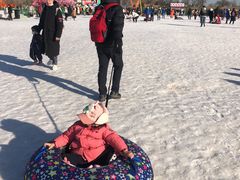 -绿野森林乐园冰雪季
