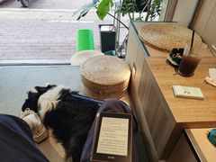 -Seeking Coffee咖啡(新竹路店)
