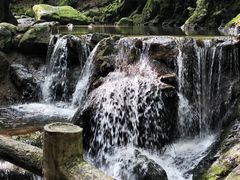 -牛背梁国家森林公园