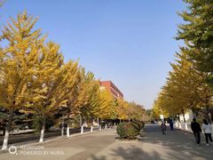 -沈阳师范大学-图书馆