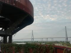 -芒洲湿地公园