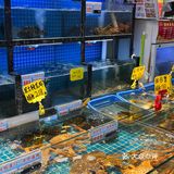 谁说八市没有好吃平价的海鲜大排档