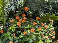 -国家植物园南园