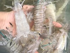 -芽庄老成都川菜馆