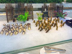 -川骄海鲜自助(河东店)