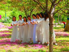 -古柏渡飞黄旅游区