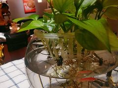 -万商花鸟市场
