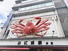 -蟹道乐(道顿堀本店)