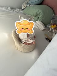 -玛瑞莎孕婴童摄影到家拍