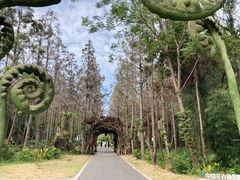 -东平国家森林公园