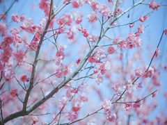 -广富林郊野公园