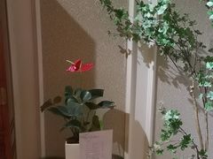 -麓湖国际水疗