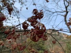 -青岛崂山太清宫
