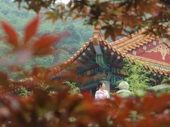 -临江·阅炉