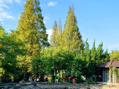-白马涧龙池景区