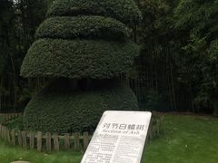 -苏州河梦清园环保主题公园