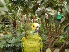 -南宫五洲植物乐园