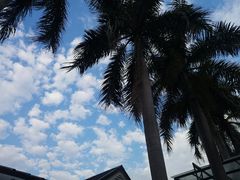 -揭东万竹园旅游景区