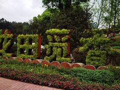 -铁山坪森林公园