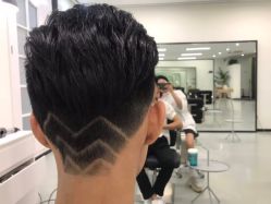 -T8 SALON